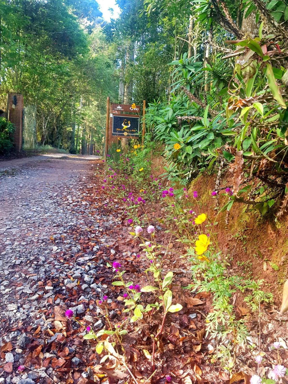 Pousada Sitio Da Terra E Arte เซาฮอเก ภายนอก รูปภาพ