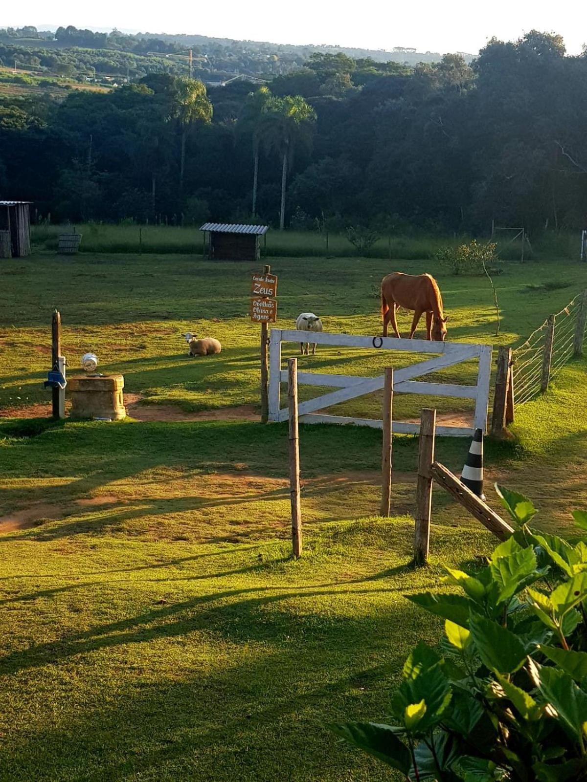 Pousada Sitio Da Terra E Arte เซาฮอเก ภายนอก รูปภาพ